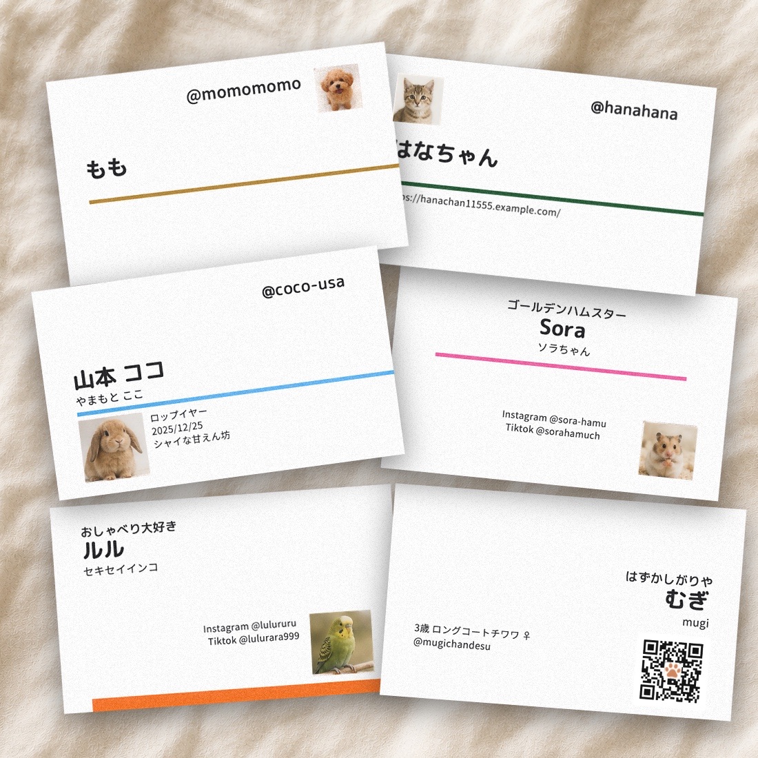 色とりどりのペット名刺の例。犬・猫・うさぎ・ハムスター・鳥それぞれのカード